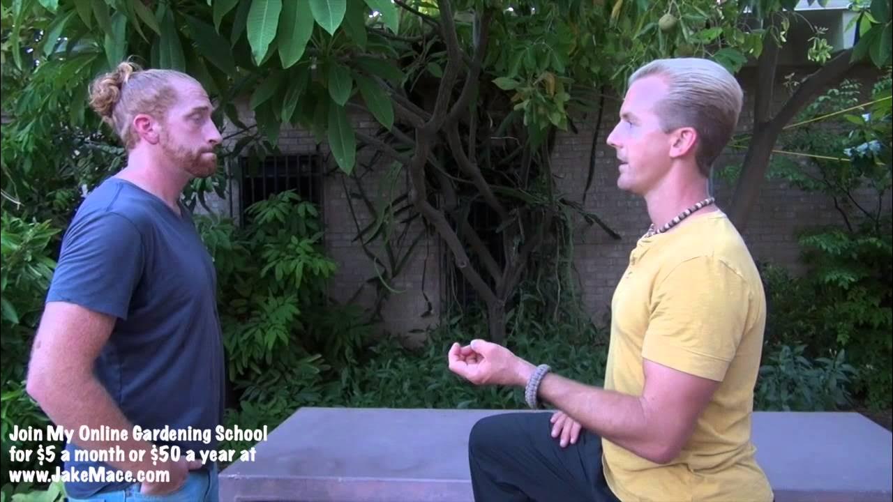 PermaProject's tweet card. Secret EDIBLE Tropical Tree Food Forest in Phoenix - Amazing!