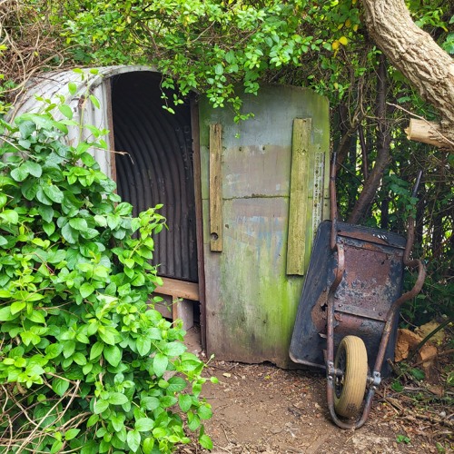 EmmaDaviesArt's tweet card. A Year In The Life Of The Allotment Garden - Soundscape 2021 - 2022