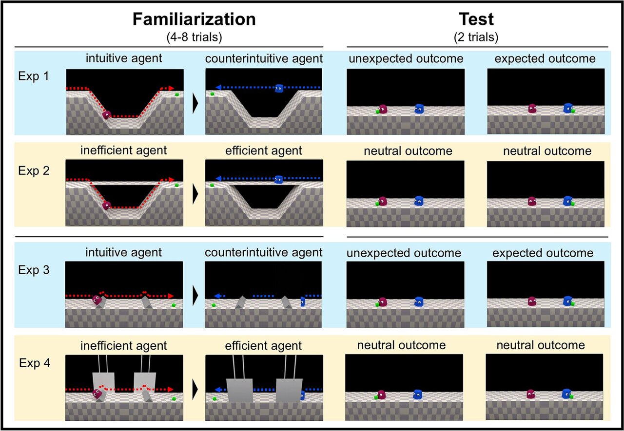 SciTechBioNews's tweet card. From shamans and mystics to cult leaders and divine kings, why have people throughout history accorded high status to people believed to have supernatural powers?