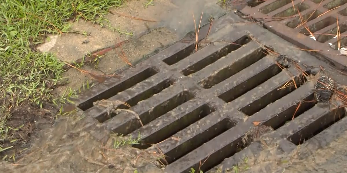 Live5News's tweet card. As Hurricane Helene approaches the Lowcountry, clean storm drains make a difference in how heavy rains affect city neighborhoods.