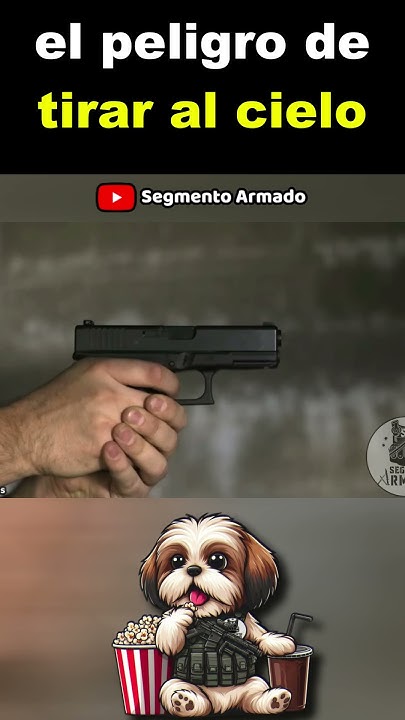 derkxl1's tweet card. El PELIGRO de AÑO NUEVO #2025 #newyear #segmentoarmado