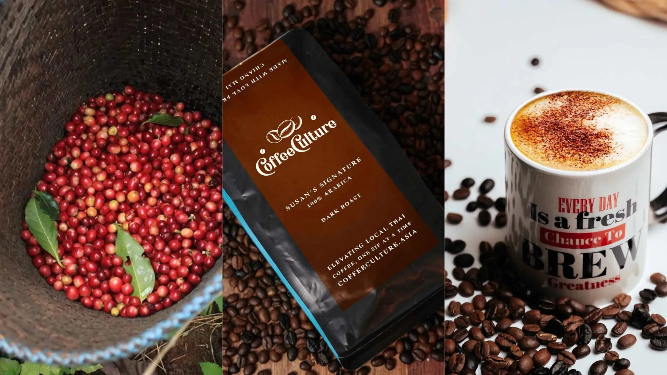 CoffeeCultureTh's tweet card. You searched for coffee capsule - Coffee Culture Thailand