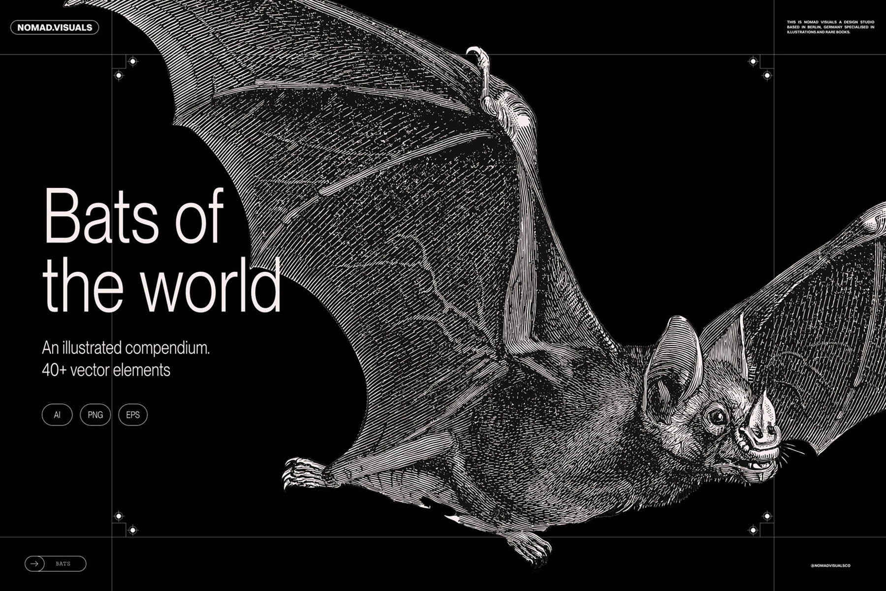 NomadVisualsCo's tweet card. Bats of the World is a captivating collection featuring over 40 meticulously crafted illustrations of various bat species, available in versatile vector formats (EPS and AI) as well as high-resolut...
