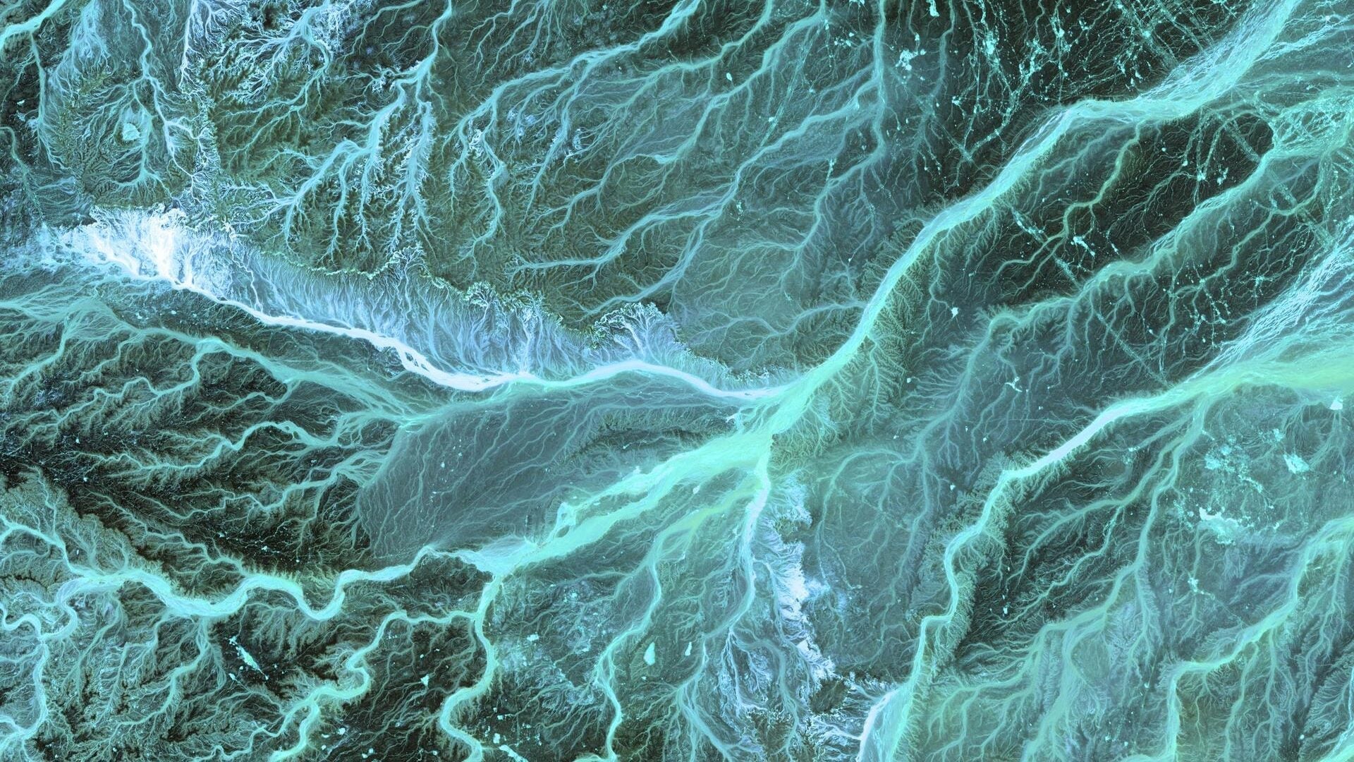 IISJOnati's tweet card. 50th Anniversary Year Sees Strengthened Focus on Research Integrity