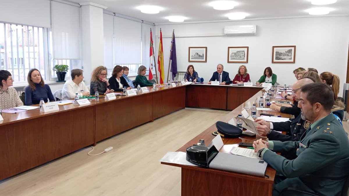 CriminalisticaB's tweet card. La Comisión Territorial contra la Violencia de Género realiza un balance de las actuaciones llevadas a cabo durante 2025 en la provincia de Palencia