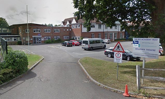 RichardDawkins's tweet card. The 13-year-old pupil said she was made to stay after the class at Rye College in East Sussex by the teacher, who can be heard in a secret recording calling her view that gender is binary 'very sad'.