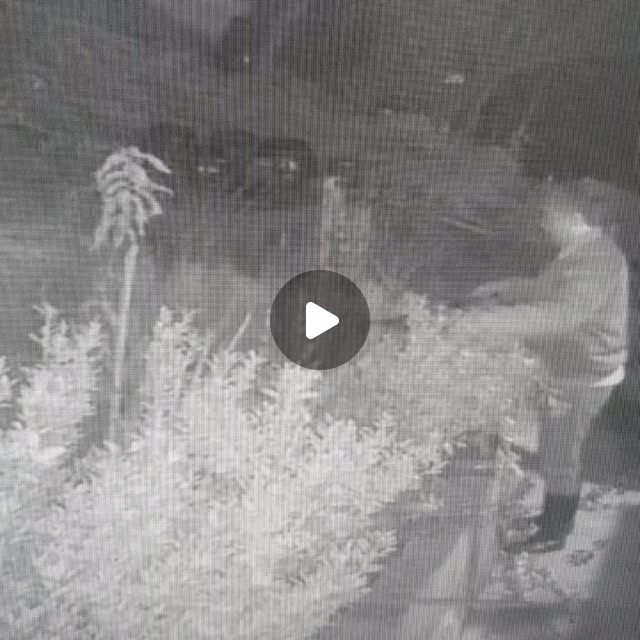 logcorps's tweet card. Jason Shim (@jinseobshim) • Instagram photos and videos