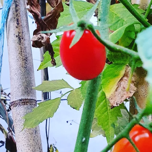 logcorps's tweet card. Jason Shim (@jinseobshim) • Instagram photos and videos