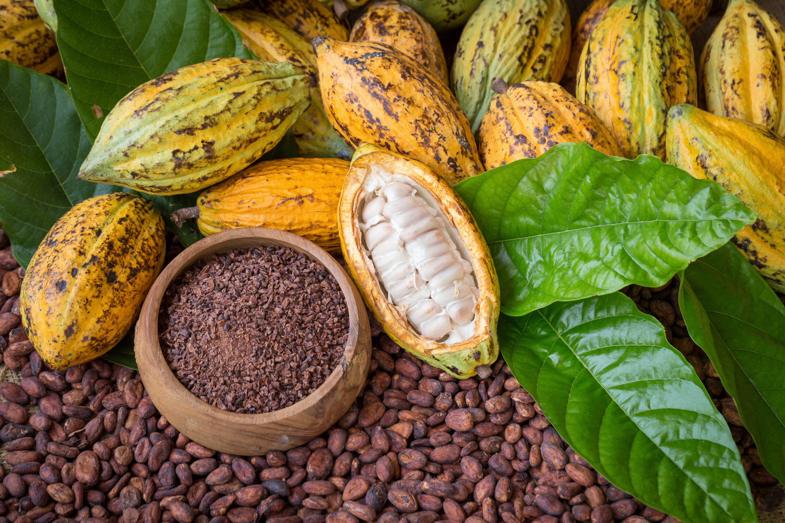 TradeADMIS's tweet card. December Cocoa edges higher after hitting multi-month lows, with strong West African arrivals and rising Ecuador output influencing supply.
