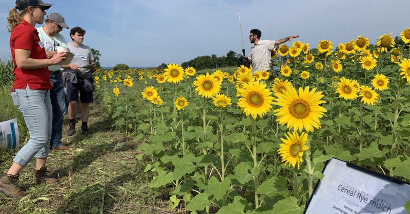 Tweet card summary image