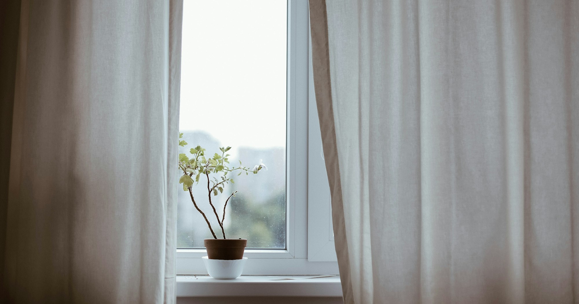 davidcmathis's tweet card. For some, checking the boxes in Bible reading could put the focus and emphasis in the wrong place. Daily devotions are not about completing a task, but encountering the risen Christ.