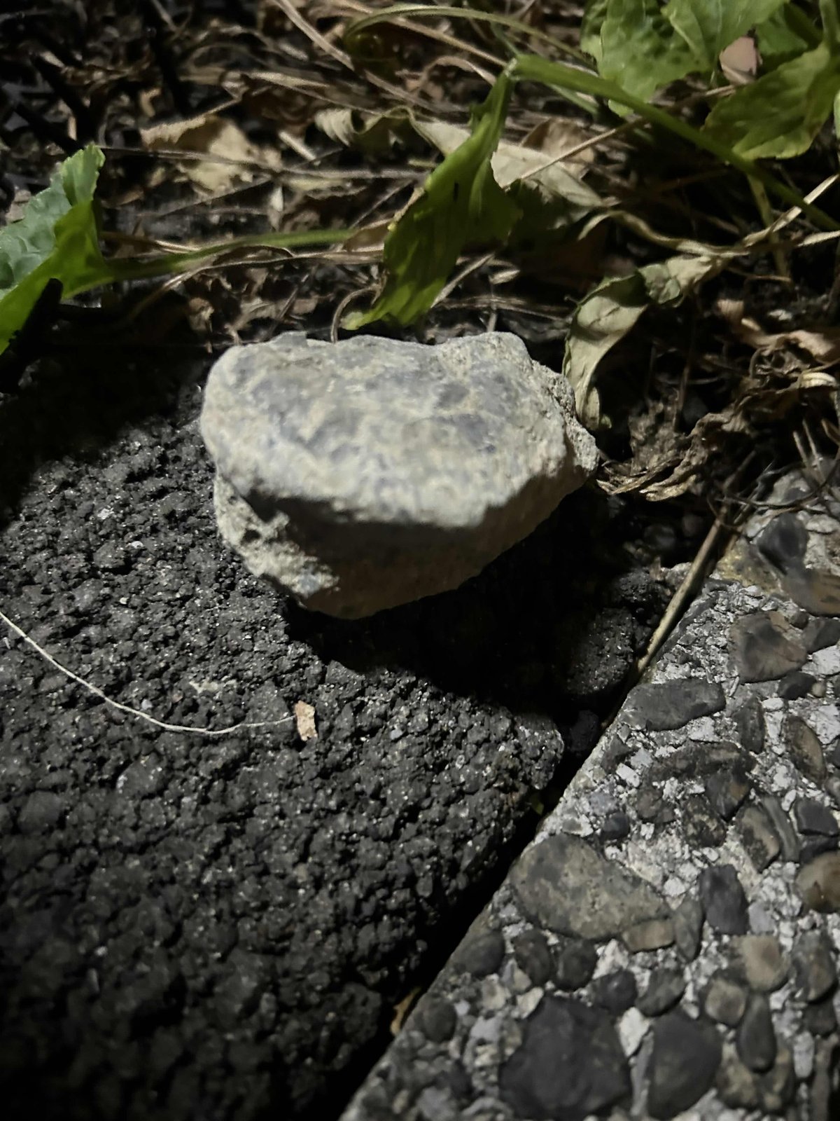 sinsogumi's tweet card. 手のひらに置いた瞬間、ほのかな重みとともに、どこか懐かしいような微かな震えを感じるかもしれません。 本品は、深層組に伝わる深層石として、deepwebより不安の緩和や思考の整理に用いられてきたと伝えられています。 推しのアクスタの横、枕元、ポケットの中。 ただそばにあるだけで、あなたの周囲を静かに整えてくれる――そんな一粒です。 ＝＝＝商品詳細＝＝＝ サイズ　高さ4.1cm、横5.3cm...