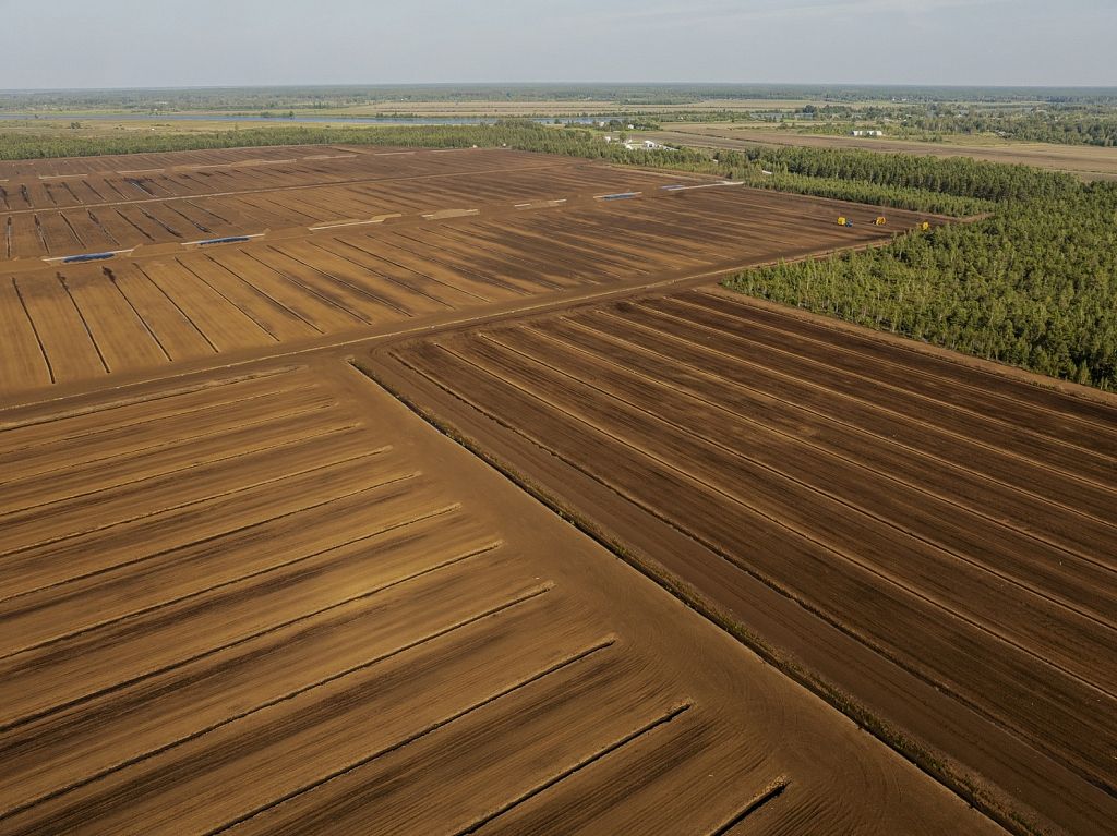 dblv's tweet card. Latvijas zinātnisko institūciju konsorcijs uzsāk pētījumu projekta PeatTransform īstenošanu...