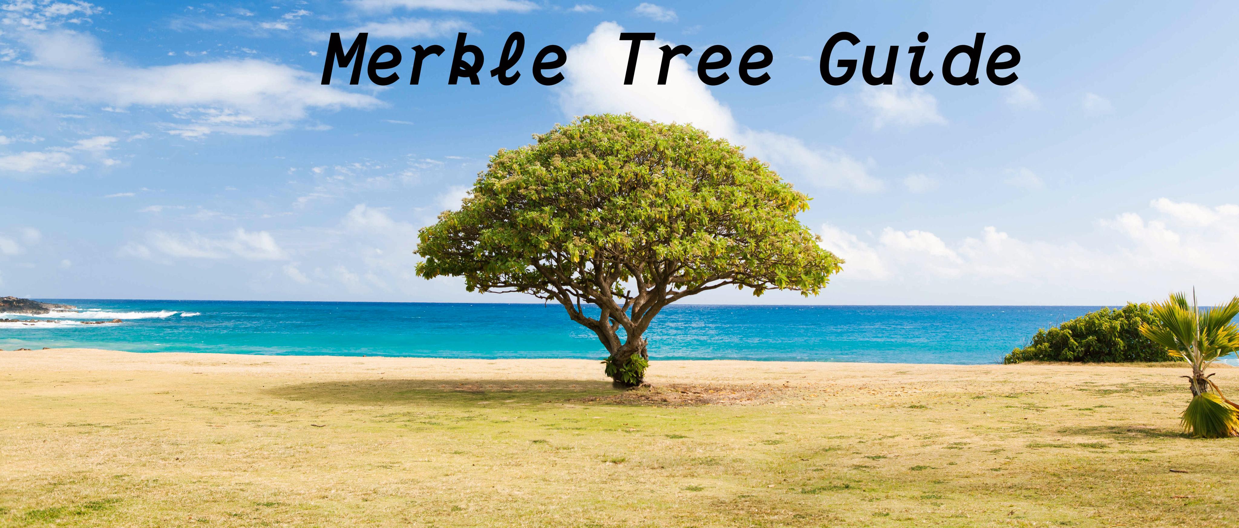 gorgos's tweet card. Merkle trees are used everywhere in the world of blockchains. Learn how they work, how to use them yourself and what might be future optimizations for them.