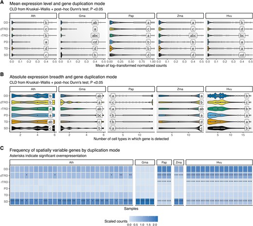 ThePlantCell's tweet card. After gene and genome duplications, expression divergence across cell types is not random, and it can be explained by a combination of gene age, gene funct
