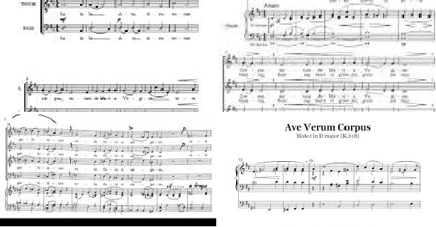 SissyWillis's tweet card.  