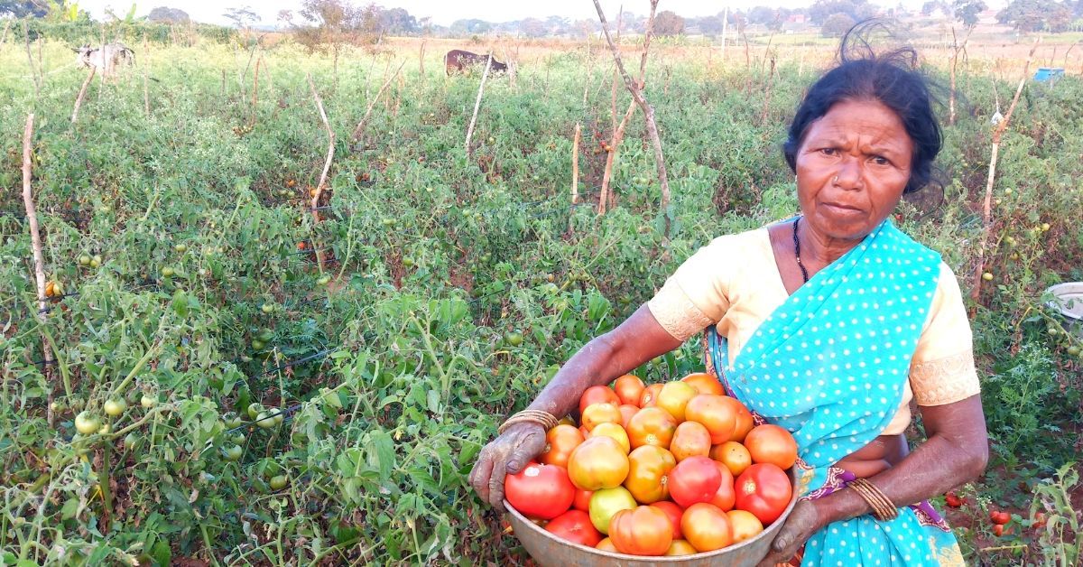 thebetterindia's tweet card. Daasi's story is truly inspiring, especially when one understands where she has come from and the difficulties she had to face to provide for her family.