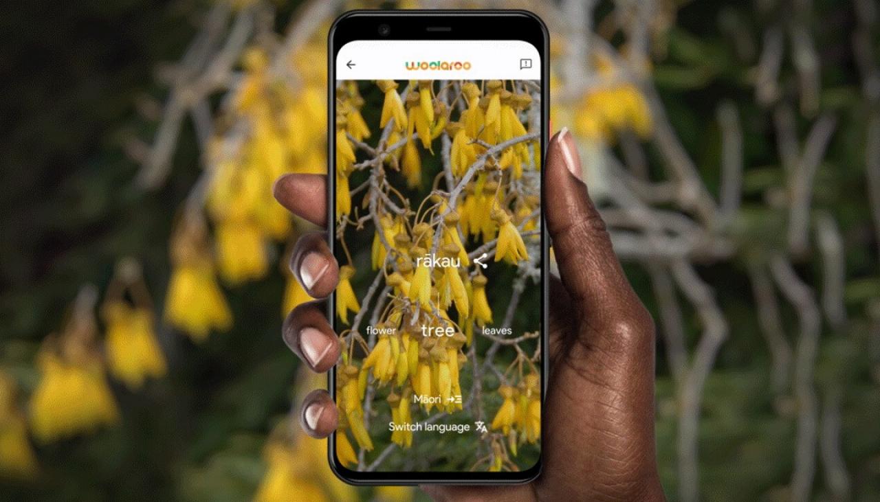 NetBeOpen's tweet card.  Google a annoncé le mois dernier le lancement d’une nouvelle application dédiée à l’apprentissage des langues autochtones dont le berbère canarien (tamazight) ou […]
