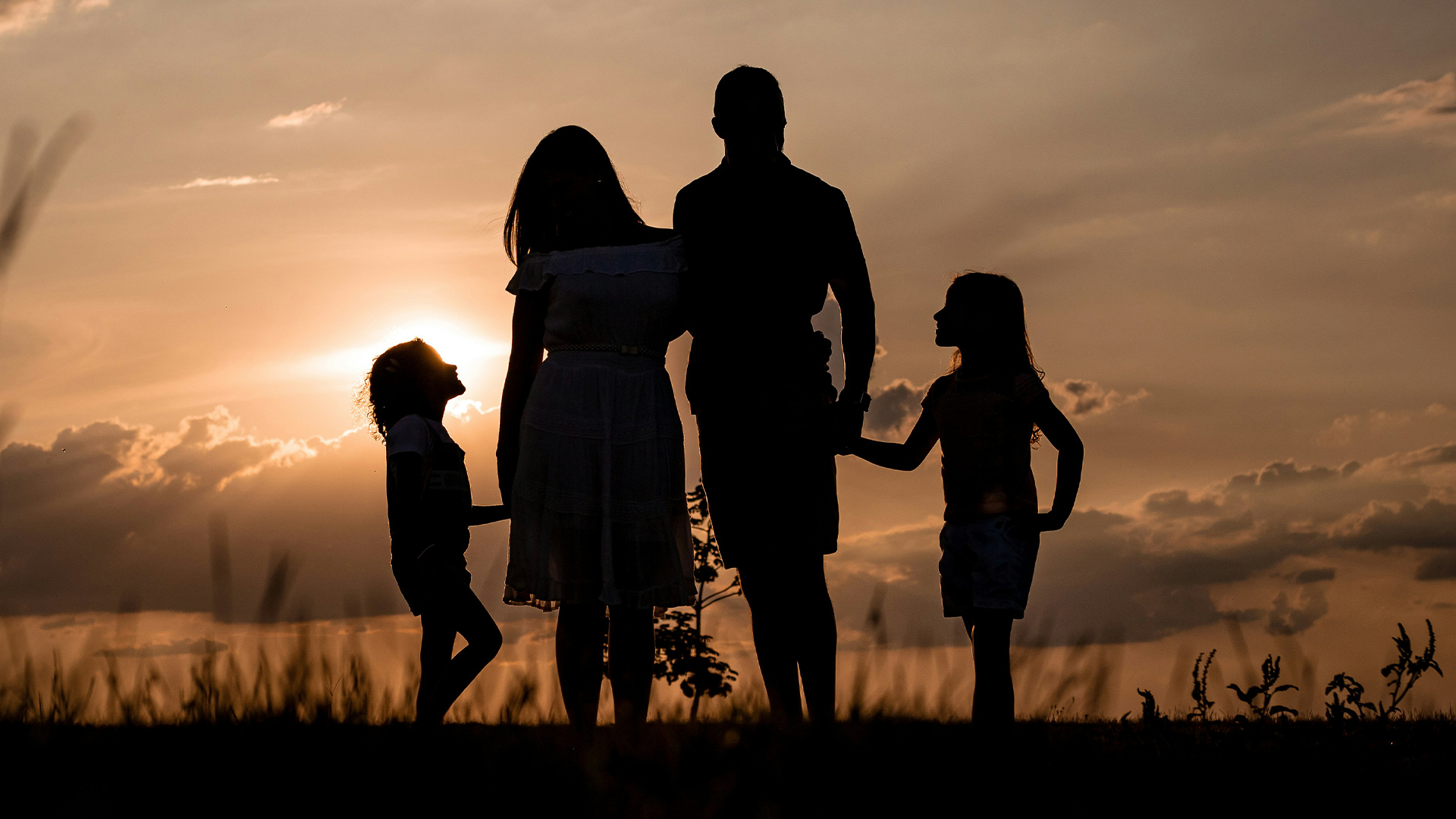 soy_appreciator's tweet card. Demographic decline.