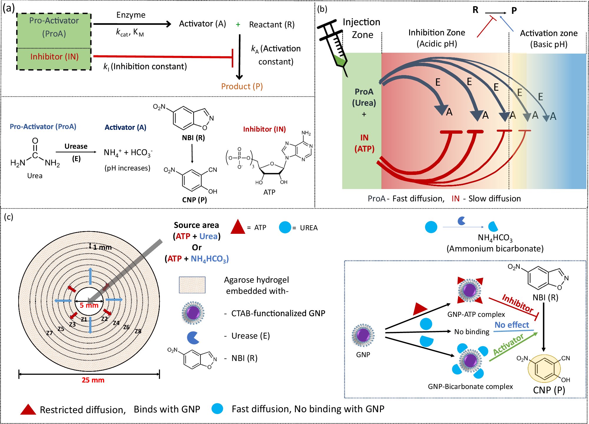 Subhachem's tweet card. Nature Communications - Achieving spatiotemporal gating of signals is desirable for mimicking of biological processes, but is challenging to achieve in synthetic systems. Here, the authors report a...