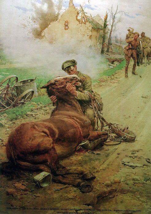 GavinM_onair's tweet card. In the week leading up to Remembrance Day or Veterans Day I always like to remember the horses who served in wars. This poem”I Spoke to You in Whispers ” by Neil Andrew is my offering t…