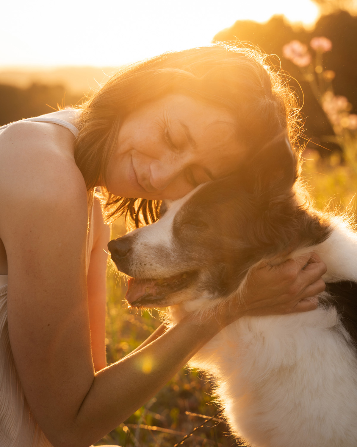 vanessaSH's tweet card. From the banning of certain breeds to a proposal in Australia for a minimum of three hours a day spent with your dog, these are the most interesting pet laws from around the world.