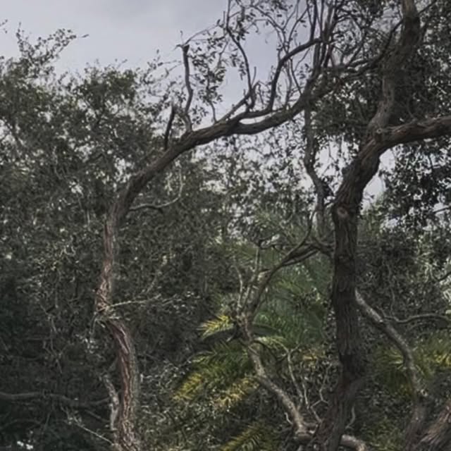 Binzento's tweet card. Vincent Law (@binzento) • Instagram photos and videos