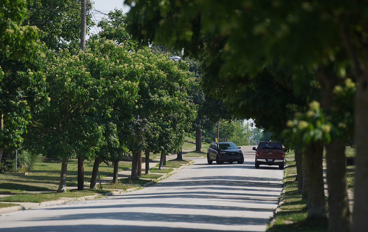 SignalAkron's tweet card. Officials set a goal of adding 1,800 trees to the tree canopy this year and through two programs were able to surpass that number.