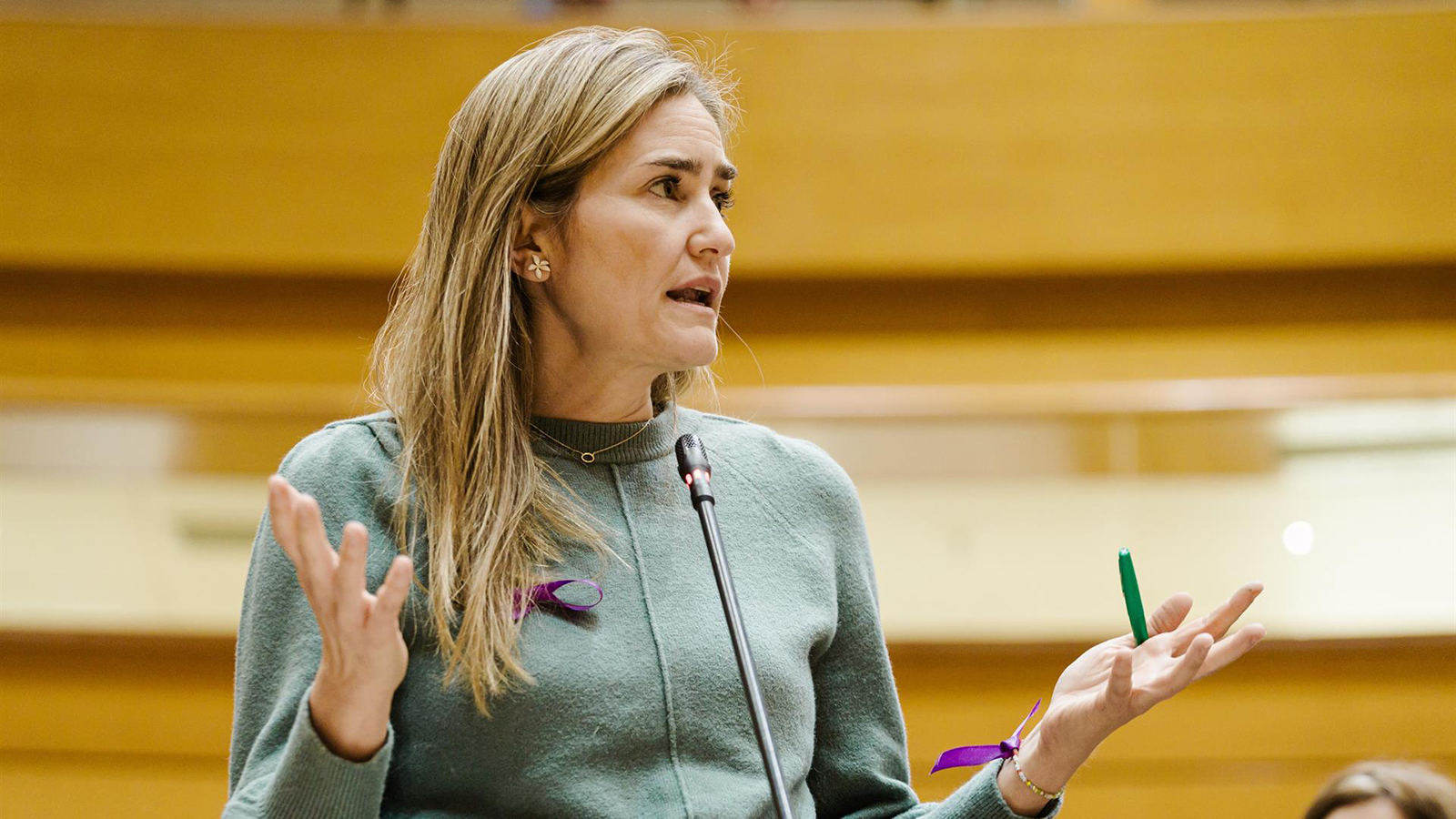 danielsenderos's tweet card. Aagesen ha reprochado al portavoz de Energía del PP su "mirada al retrovisor" y ha reivindicado que la política energética del Ejecutivo "sí funciona".