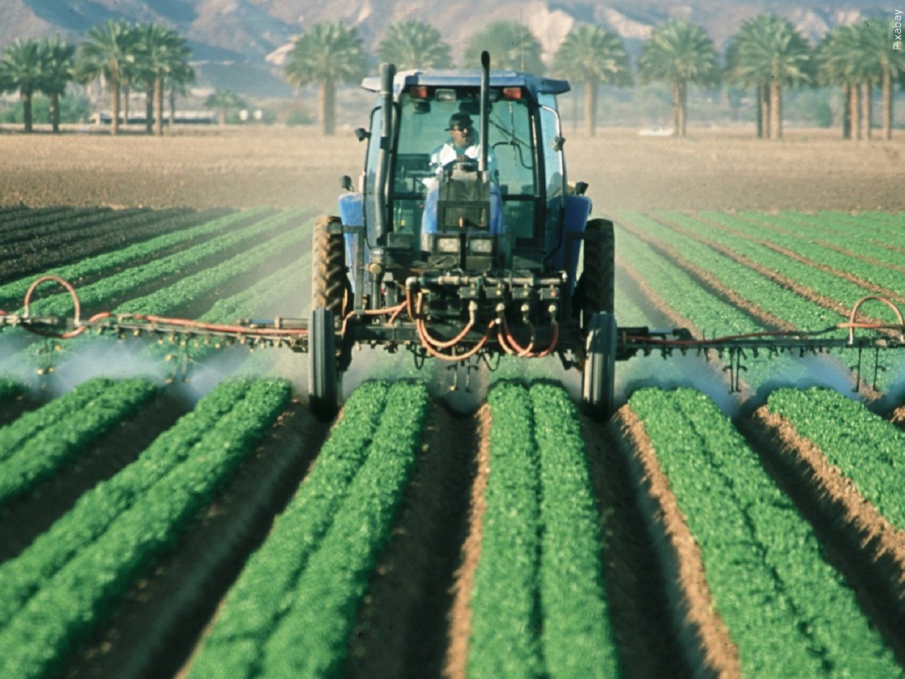 TheFinalCall's tweet card. Diquat damages the intestines and may also trigger a harmful chain reaction in the rest of the body—injuring the liver, kidney and lungs, according to a new review of more than 100 studies. The...