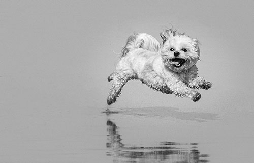 omateuscodes's tweet card. Looking into patterns that lead to poor performance of React apps, why they are bad, and how to recognise and avoid them.