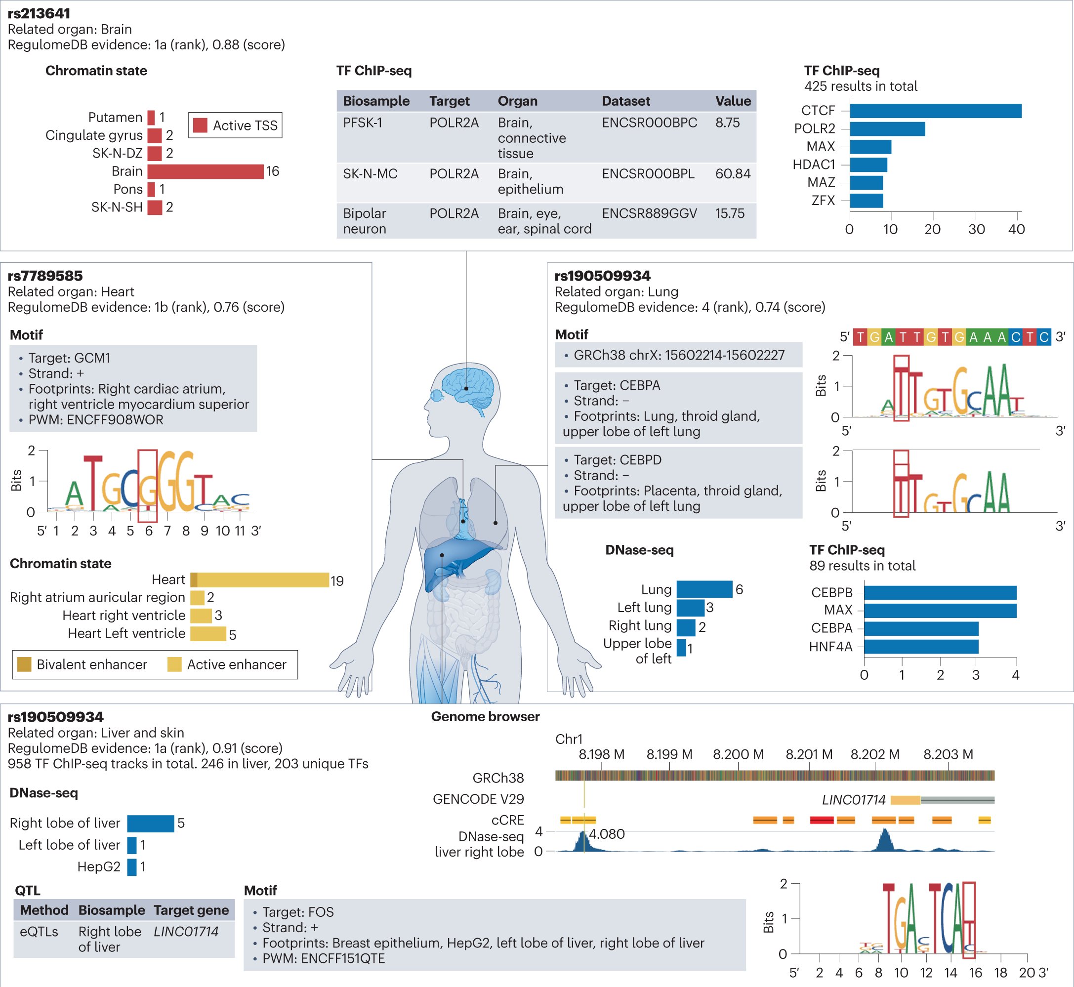 jsantoyo's tweet card. Nature Genetics - Annotating and prioritizing human non-coding variants with RegulomeDB v.2