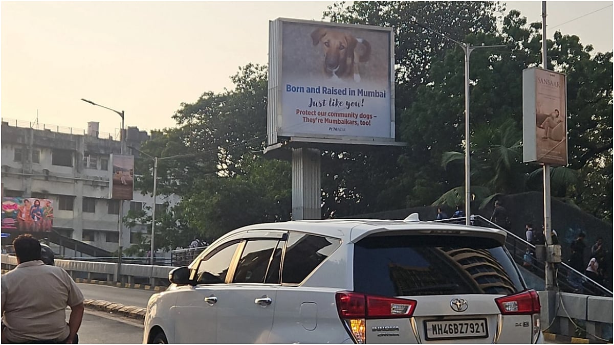 fpjindia's tweet card. 'Dogs Are Mumbaikars Too,' Says PETA India As It Urges People To Tie Bandanas To Community Dogs To...