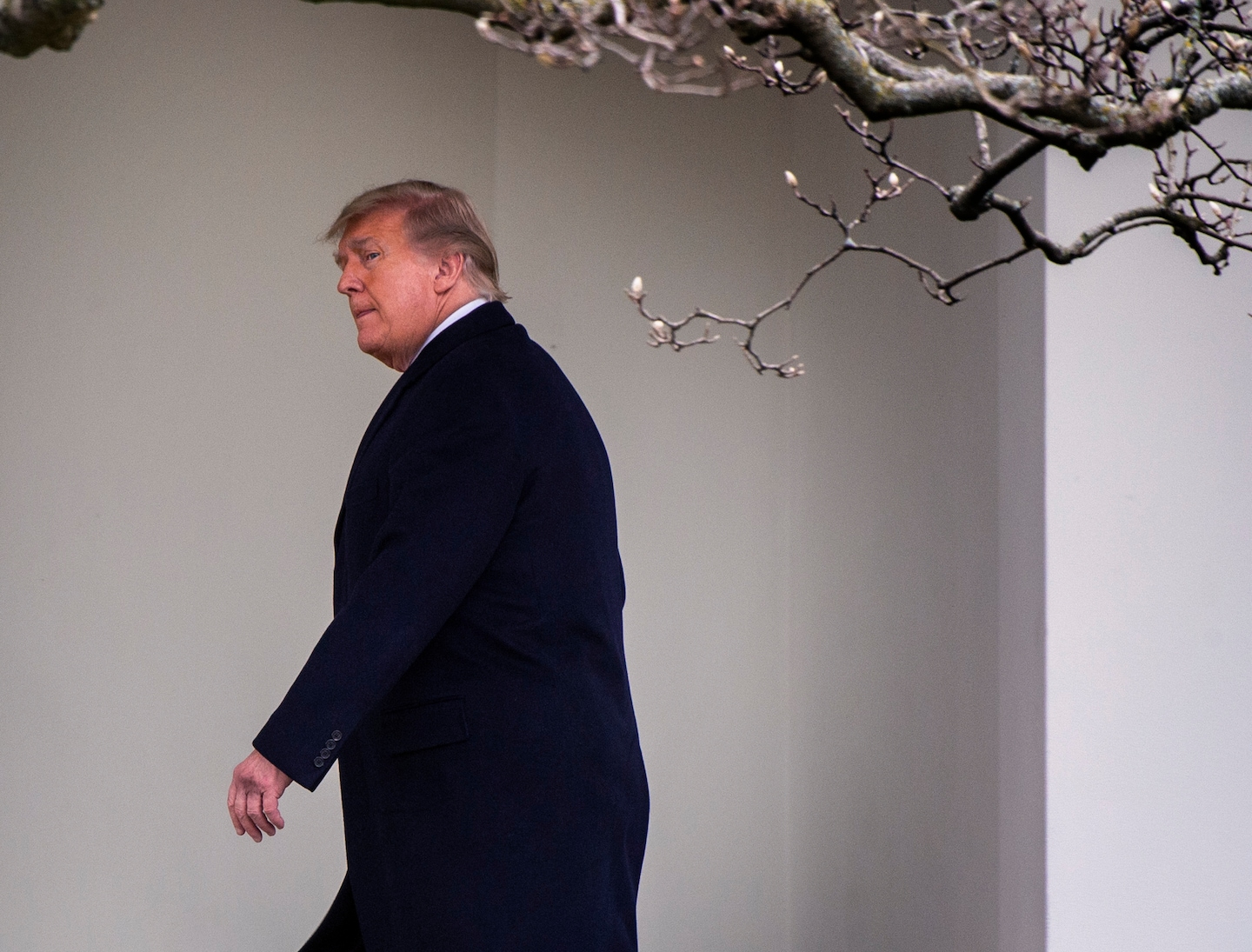 AVindman's tweet card. In a recording obtained by The Washington Post, President Trump alternately berated, begged and threatened Brad Raffensperger to overturn President-elect Joe Biden’s win in the state.