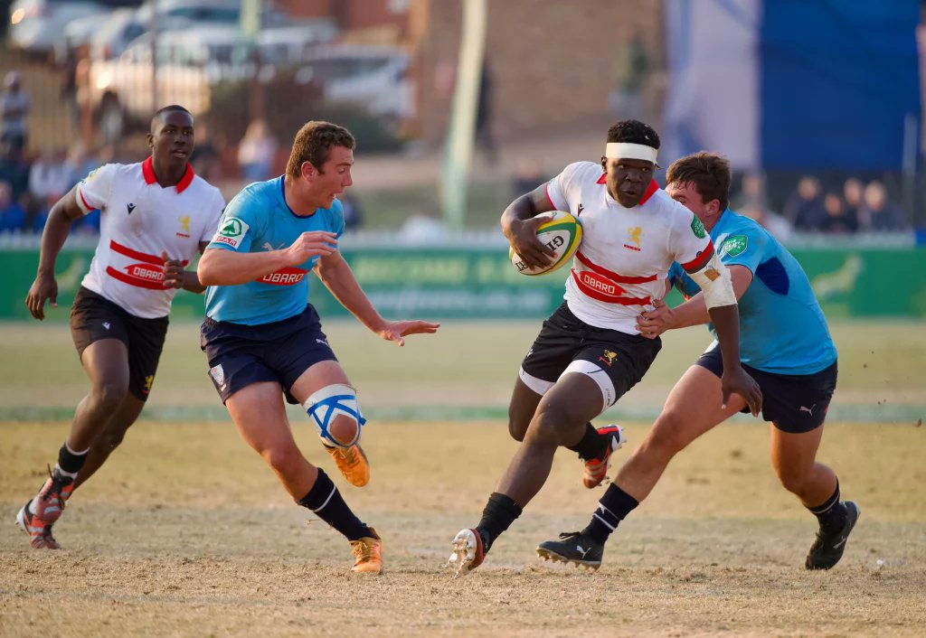 octafield's tweet card. The Blue Bulls secured a narrow victory over the Golden Lions, while there were big wins for the…