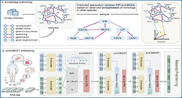 RNASeqBlog's tweet card. scKGBERT combines large scale RNA sequencing data with protein interaction networks to improve biomarker discovery and cell characterization for precision medicine...