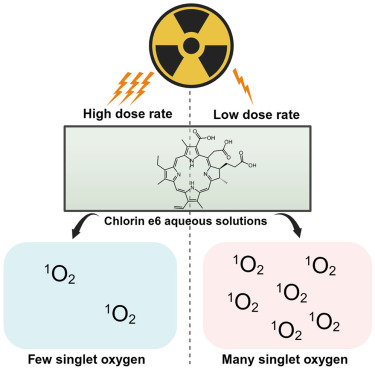 CellRepPhysSci's tweet card. Xu et al. reveal that ionizing radiation drives singlet oxygen generation from Ce6 through superoxide anions rather than Cerenkov light, with low dose rates favoring the process by reducing radical...