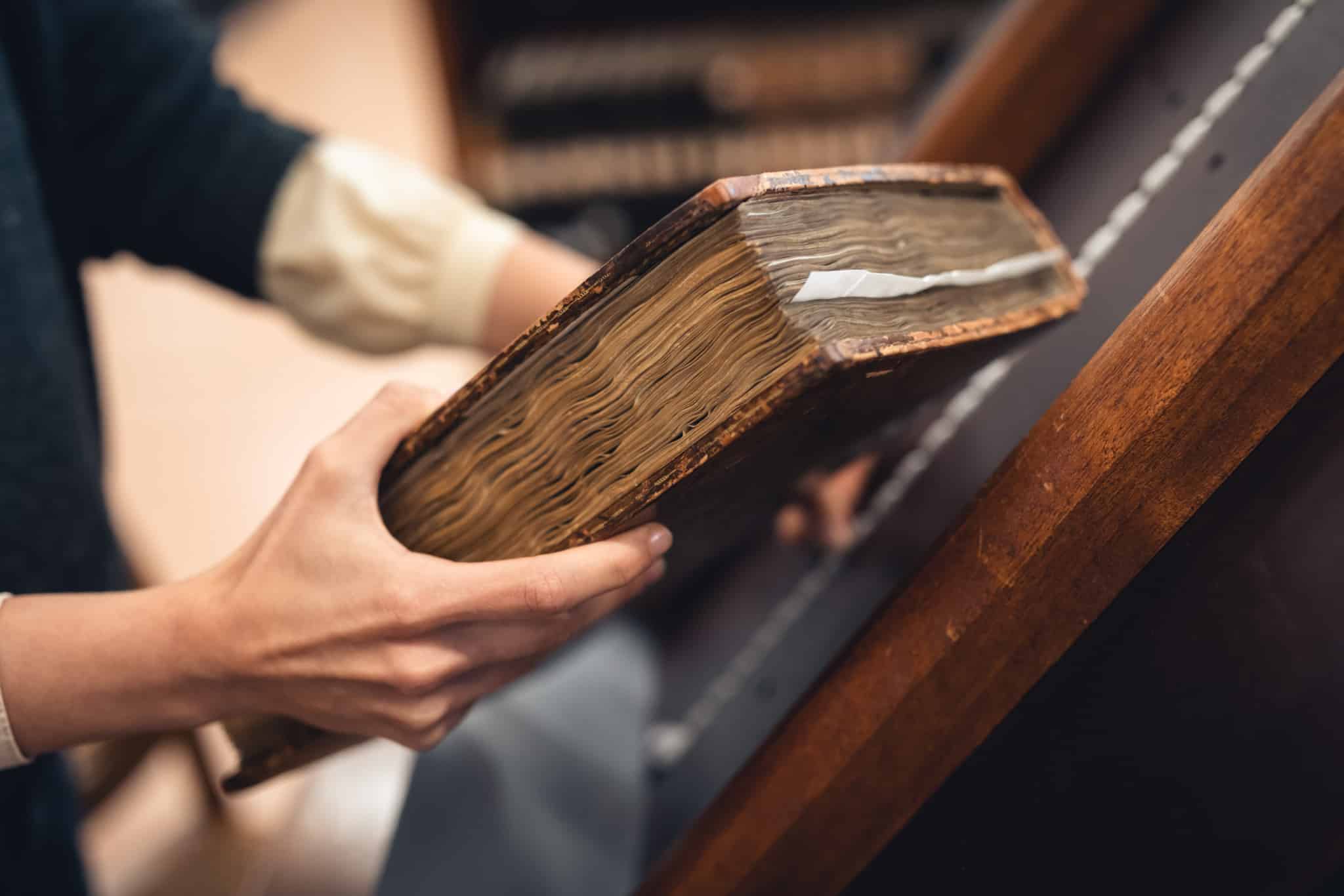 JanPauwelsKBR's tweet card. 7 experts, 7 lectures, 1 shared passion. The experts—both from KBR and other institutions—will present their research on books from the collection.