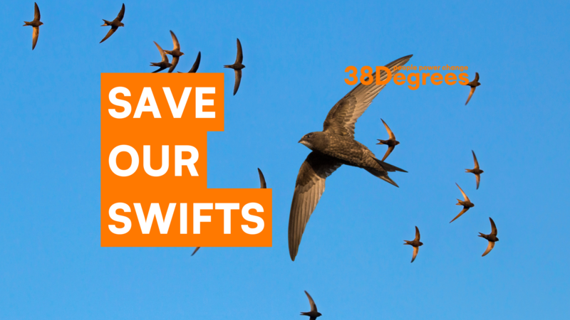 CompostZone's tweet card. Swifts have lost more than half their population in 20 years. A simple £35 brick in new builds could help save them. Labour used to support this – now they’re planning to backtrack. Sign the petition...