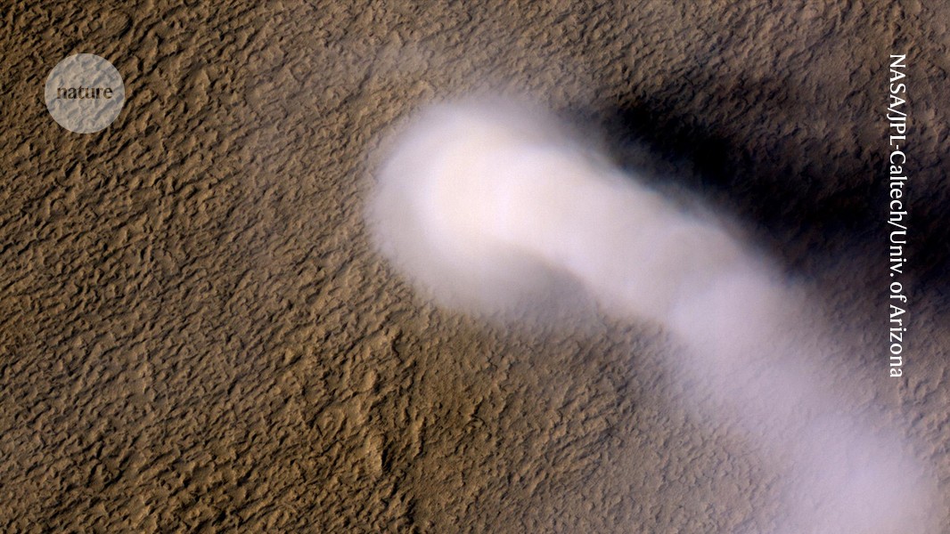 Nature's tweet card. Nature - The Perseverance rover on Mars has serendipitously recorded sounds and electromagnetic signals that are characteristic of lightning in dust storms.