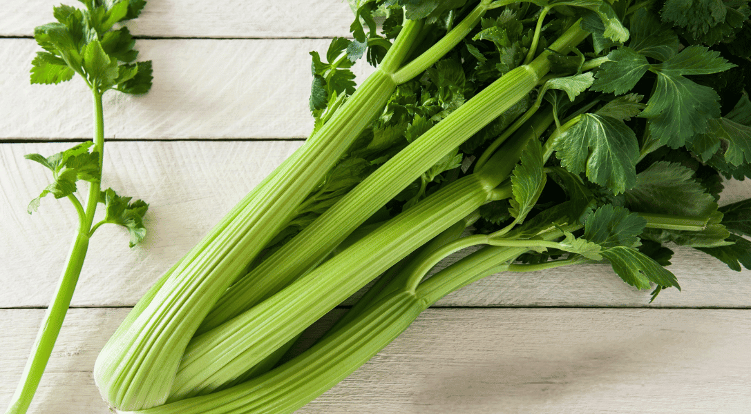 dandy_fresh's tweet card. Check our our 7 step guide onhow to store celery so it stays fresh longer, reducing waste and saving you money.