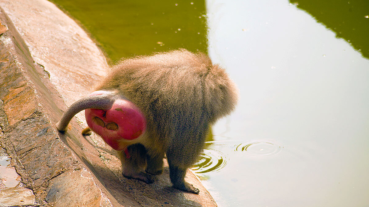 LithiumPowerLPI's tweet card. Evene the bears admit lithium is back. Here are the top five undervalued ASX stocks mentioned by Canaccord its latest note.