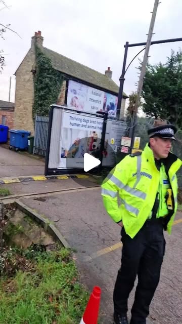 TheCampBeagle_'s tweet card. Camp Beagle (@thecampbeagle) • Instagram reel