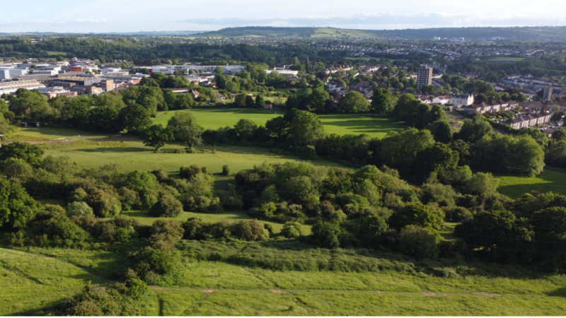 BristolTreeFora's tweet card. Mark Ashdown says the council should press forward with plans to designate new local green spaces