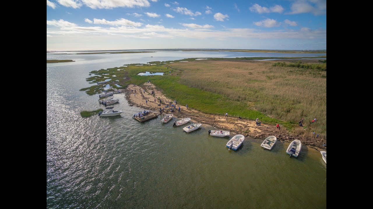 SlipFinderApp's tweet card. Great South Bay Fall Cleanup2016 #OperationSplash