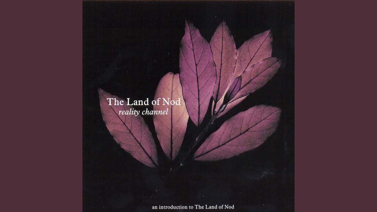 lfttchelt's tweet card. Masaki