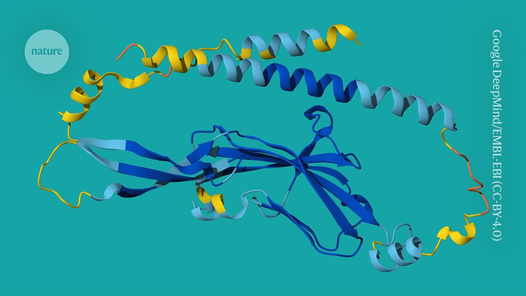 Nature's tweet card. Nature - Since it was unveiled in 2020, Google DeepMind’s game-changing AI tool has helped researchers all over the world to predict the 3D structures of hundreds of millions of proteins.