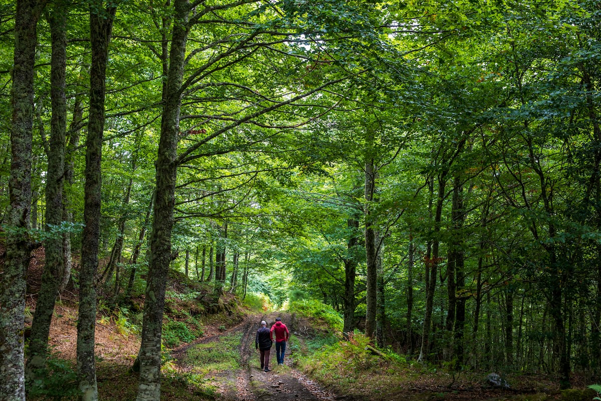 NicolasKleinEsp's tweet card. Empresas comprometidas y agentes públicos trabajan en el Principado, Galicia, Cantabria y el País Vasco por un modelo de turismo sostenible que ayude al desarrollo económico de las comunidades...