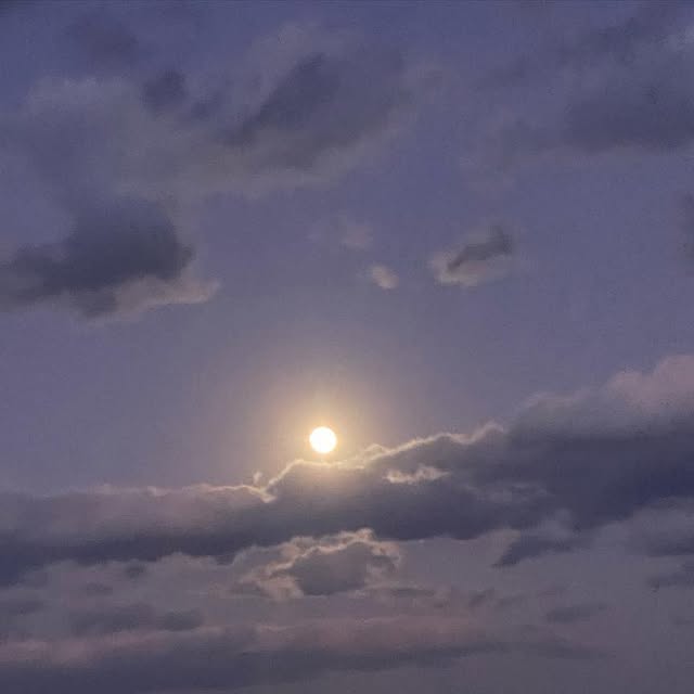 divinodocg's tweet card. Leonardo Patti (@leopatti54) • Instagram photos and videos