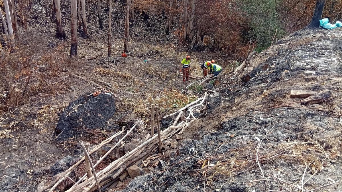 Anxeles_Vazquez's tweet card. Está actuando en zonas quemadas de Meaño, Lousame y Ponteceso | Se usa paja, cordones vegetales o madera para frenar los arrastres